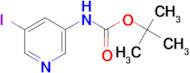 t-Butyl (5-iodopyridin-3-yl)carbamate