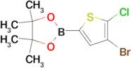 2-(4-Bromo-5-chlorothiophen-2-yl)-4,4,5,5-tetramethyl-1,3,2-dioxaborolane