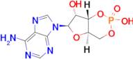 Adenosine-3',5'-cyclophosphate