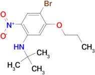 4-Bromo-N-(tert-butyl)-2-nitro-5-propoxyaniline