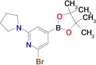 2-Bromo-6-(pyrrolidin-1-yl)-4-(4,4,5,5-tetramethyl-1,3,2-dioxaborolan-2-yl)pyridine