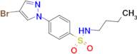 4-(4-Bromo-1H-pyrazol-1-yl)-N-butylbenzenesulfonamide
