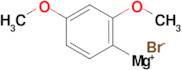 2,4-Dimethoxyphenylmagnesium bromide, 0.5M 2-MeTHF