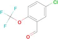 5-Chloro-2-(trifluoromethoxy)benzaldehyde