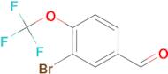 3-Bromo-4-(Trifluoromethoxy)benzaldehyde