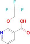 2-(2,2,2-Trifluoroethoxy)pyridine-3-carboxylic acid