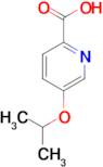 5-(Propan-2-yloxy)pyridine-2-carboxylic acid