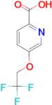 5-(2,2,2-Trifluoroethoxy)pyridine-2-carboxylic acid