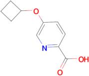 5-Cyclobutoxypyridine-2-carboxylic acid