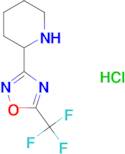 2-[5-(Trifluoromethyl)-1,2,4-oxadiazol-3-yl]piperidine hydrochloride