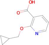 2-(Cyclopropylmethoxy)pyridine-3-carboxylic acid