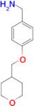 [4-(Oxan-4-ylmethoxy)phenyl]methanamine