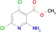 Methyl 2-amino-4,6-dichloronicotinate