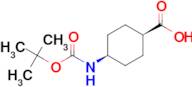 cis-4-((tert-Butoxycarbonyl)amino)cyclohexanecarboxylic acid
