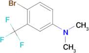 4-Bromo-N,N-dimethyl-3-(trifluoromethyl)aniline