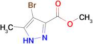 Methyl 4-bromo-5-methyl-1H-pyrazole-3-carboxylate