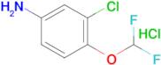 3-Chloro-4-(difluoromethoxy)aniline hydrochloride