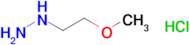 (2-Methoxyethyl)hydrazine hydrochloride