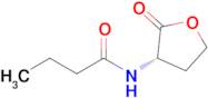 (S)-N-(2-Oxotetrahydrofuran-3-yl)butyramide