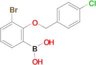 (3-Bromo-2-((4-chlorobenzyl)oxy)phenyl)boronic acid