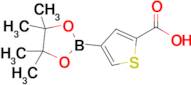 4-(4,4,5,5-Tetramethyl-1,3,2-dioxaborolan-2-yl)thiophene-2-carboxylic acid