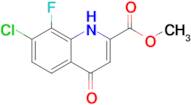 Methyl 7-chloro-8-fluoro-4-hydroxyquinoline-2-carboxylate