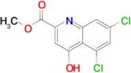 Methyl 5,7-dichloro-4-hydroxyquinoline-2-carboxylate