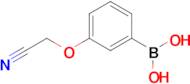 (3-(Cyanomethoxy)phenyl)boronic acid