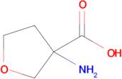 3-Aminotetrahydrofuran-3-carboxylic acid