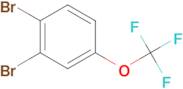 1,2-Dibromo-4-(trifluoromethoxy)benzene