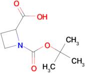 N-Boc-Azetidine-2-carboxylic acid