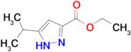 Ethyl 3-isopropyl-1H-pyrazole-5-carboxylate