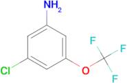 3-Chloro-5-(trifluoromethoxy)aniline