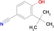 3-(tert-Butyl)-4-hydroxybenzonitrile