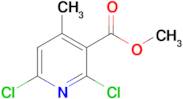 Methyl 2,6-dichloro-4-methylnicotinate