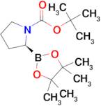 (S)-tert-Butyl 2-(4,4,5,5-tetramethyl-1,3,2-dioxaborolan-2-yl)pyrrolidine-1-carboxylate