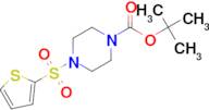 tert-Butyl 4-(thiophen-2-ylsulfonyl)piperazine-1-carboxylate