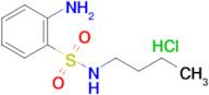 2-Amino-N-butylbenzenesulfonamide hydrochloride