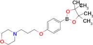 4-(3-(4-(4,4,5,5-Tetramethyl-1,3,2-dioxaborolan-2-yl)phenoxy)propyl)morpholine