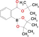 tert-Butyl 2-(4,4,5,5-tetramethyl-1,3,2-dioxaborolan-2-yl)benzoate