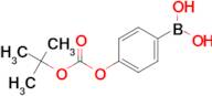 (4-((tert-Butoxycarbonyl)oxy)phenyl)boronic acid