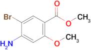 Methyl 4-amino-5-bromo-2-methoxybenzoate