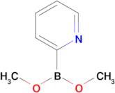 Dimethyl pyridin-2-ylboronate