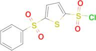 5-(Phenylsulfonyl)thiophene-2-sulfonyl chloride