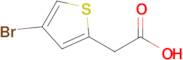 2-(4-Bromothiophen-2-yl)acetic acid