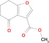 Methyl 4-oxo-4,5,6,7-tetrahydrobenzofuran-3-carboxylate