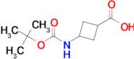 3-((tert-Butoxycarbonyl)amino)cyclobutanecarboxylic acid