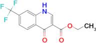 Ethyl 4-oxo-7-(trifluoromethyl)-1,4-dihydroquinoline-3-carboxylate