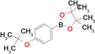 2-(4-(tert-Butoxy)phenyl)-4,4,5,5-tetramethyl-1,3,2-dioxaborolane