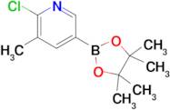 2-Chloro-3-methylpyridine-5-boronic acid pinacol ester